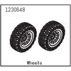 Roues complètes - Sherpa  (2)