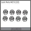 Lock Nuts M2.5 (10)