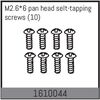 M2.6*6 pan head selt-tapping screws (10)
