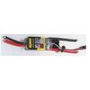 VARIATEUR PHOENIX EDGE LITE 100A 8S