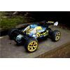 4WD Buggy Beesting