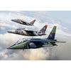 50th Anniversary Alpha Jet