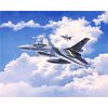 F-16 MLU 100th Anniversary