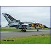 Tornado ECR Tigermeet 2011