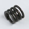 CLUTCH SPRING MRX2