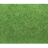 Tapis de terrain vert clair