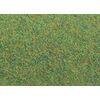 Tapis de terrain vert foncé