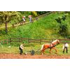 4 Clôtures de jardin et de champ