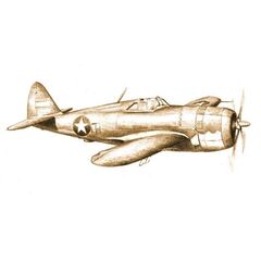 ARW9.01368-P-47D Thunderbolt
