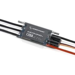 Hobbywing Seaking Pro 120A
