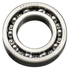 ROULEM.BILLES AR 40-46AX-FX,50SX - 26730005