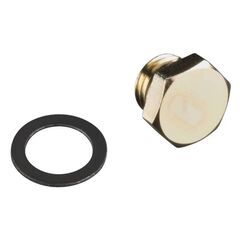 PLUG SCREW (W/WASHER) 40B.8AA.9B.20G