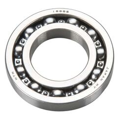 GT55 - BALL BEARING (R)