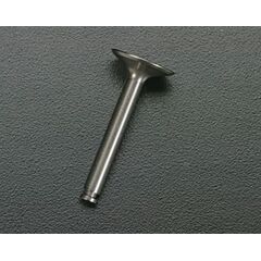 INTAKE VALVE FL70