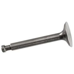 Valve Exhaust FS-120 Surpass III