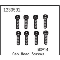 AB1230591-Cap Head Screw M3*14 (8)