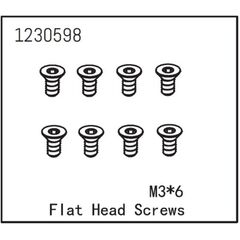 AB1230598-Flat Head Screw M3*6 (8)