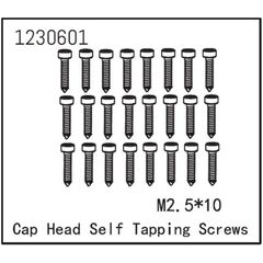 AB1230601-Self-tapping Cap Screw M2.5*12 (24)