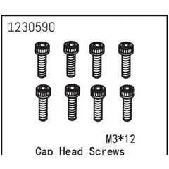 AB1230590-Cap Head Screw M3*12 (8)