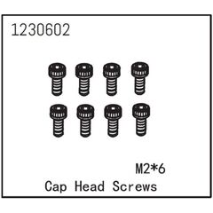 AB1230602-Cap Head Screw M2*6 (8)