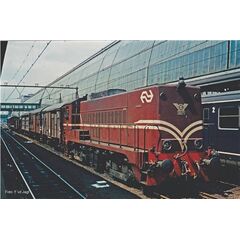 N-D-Lok NS 2271 rotbraun IV + DSS PluX12