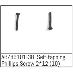 Self-tapping Phillips Screw 2*12 - Mini AMT (10)