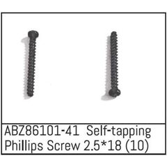 ABZ86101-41-Self-tapping Phillips Screw 2.5*18 - Mini AMT (10)