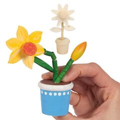 Drück Blume, 2 Motive