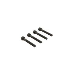 Cap Head Screw M4x30mm (4)