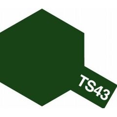 Spray TS-43 gruen