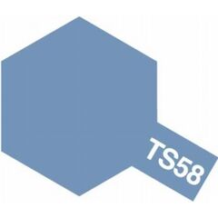 ARW10.85058-Spray TS-58 ph'blau