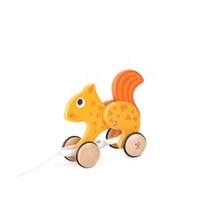 Nachzieh-Eichhörnchen