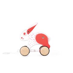 Nachzieh-Hase