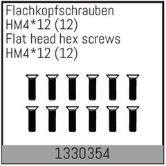 Vis hexagonales à tête plate à pas fin HM4*12/12 pcs