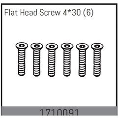 Flat Head Screw 4*30 (6)