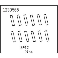 Pins 3*12 (12)