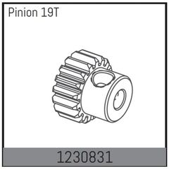 Pignon moteur 19T