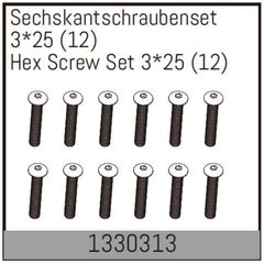 Sechskantschraubenset 3*25 (12)