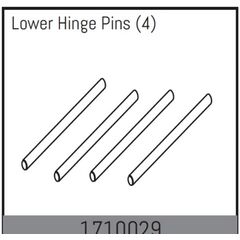 Lower Hinge Pins (4)