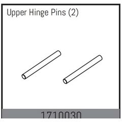 Upper Hinge Pins (2)