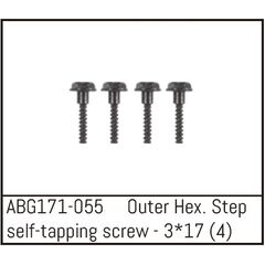 Outer Hex. Step Self-Tapping Screw M3*17 (4)