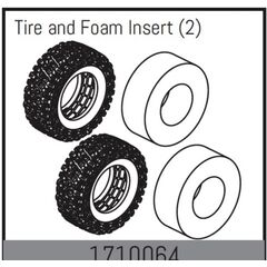 Tire and Foam Insert (2)
