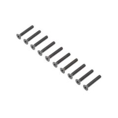 Flat Head Screws, Stl, BO, M4 x 25mm (10)