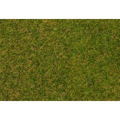 Fibres à saupoudrer Herbe sauvage Prairie d'été précoce 4 mm 1 kg
