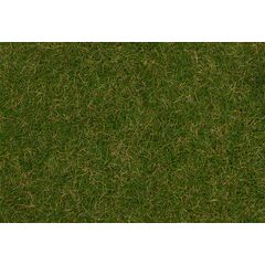 Fibres à saupoudrer Herbe sauvage Prairie d'été 4 mm 1 kg