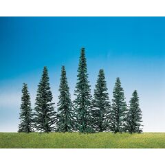 50 sapins nobles