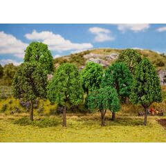 20 arbres de forêt mixte triés
