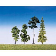 15 arbres de forêt mixte triés