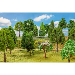 30 arbres à feuilles caduques