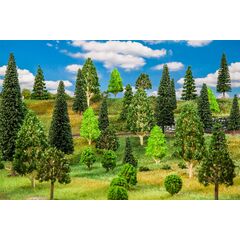 25 arbres de forêt mixte triés